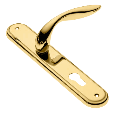 Ручка дверная на планке LEON PL OTL, цвет золото, латунь фото купить в Омске